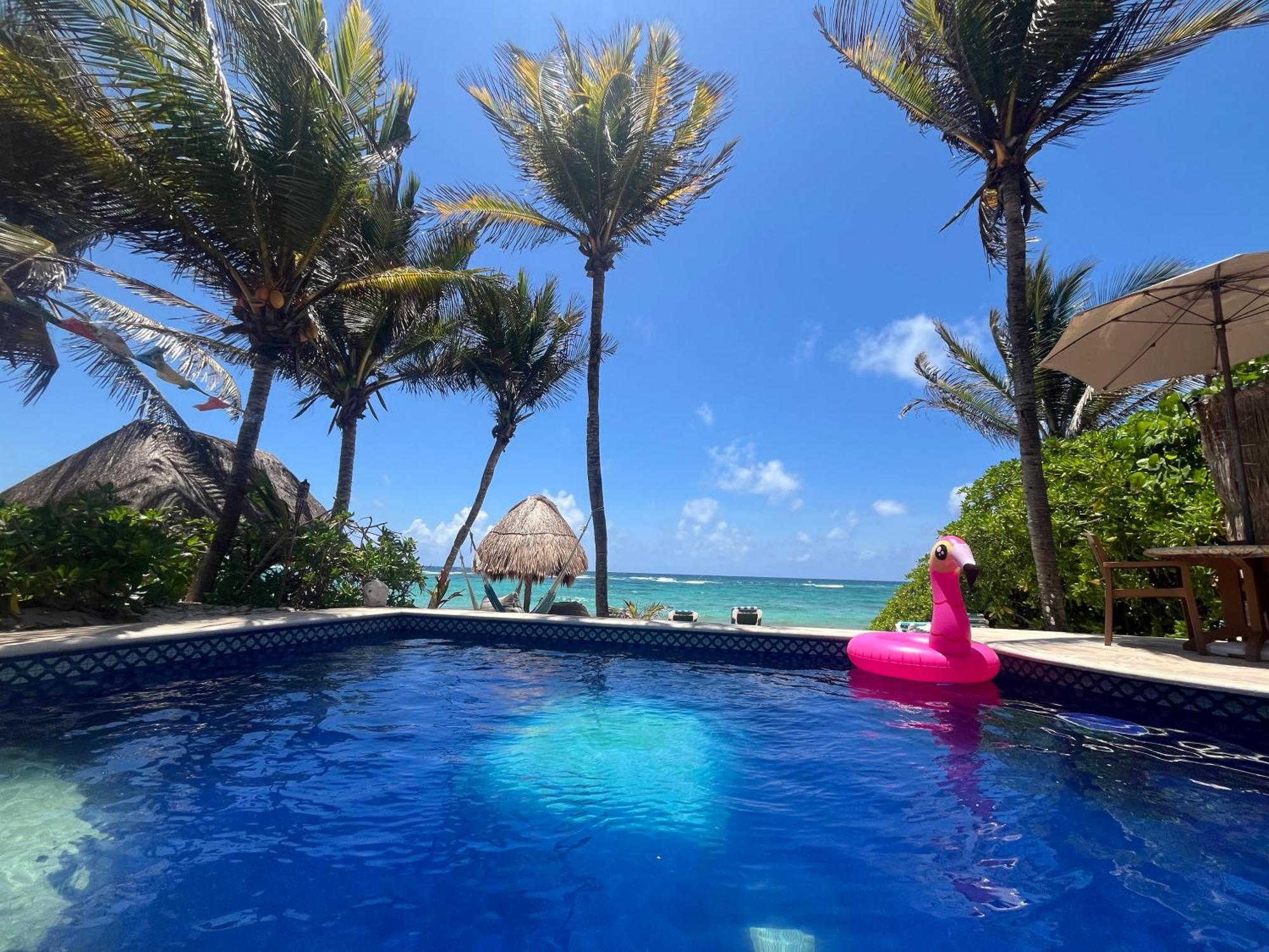 Beachfront Hammock Heaven Akumal Exterior foto