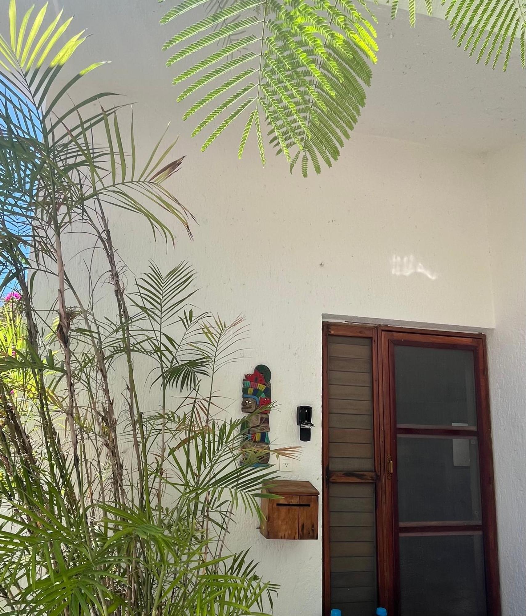 Beachfront Hammock Heaven Akumal Exterior foto