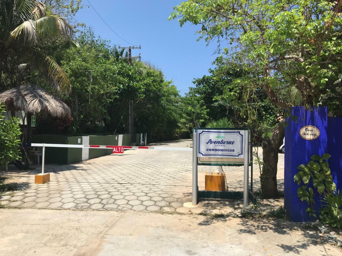Beachfront Hammock Heaven Akumal Exterior foto